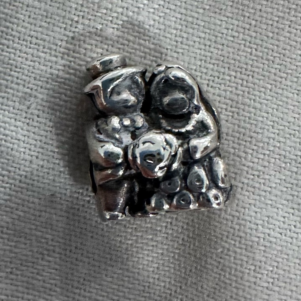 Pandora Charm